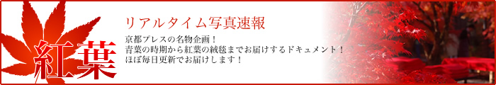 2016年京都の紅葉リアルタイム写真速報