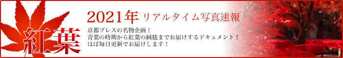 2021年京都の紅葉リアルタイム写真速報