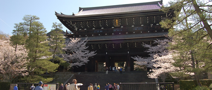 京都の知恩院の桜2016