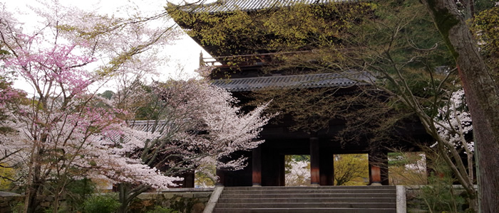 京都の南禅寺の桜2017