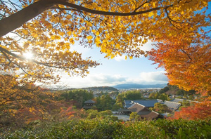 銀閣寺