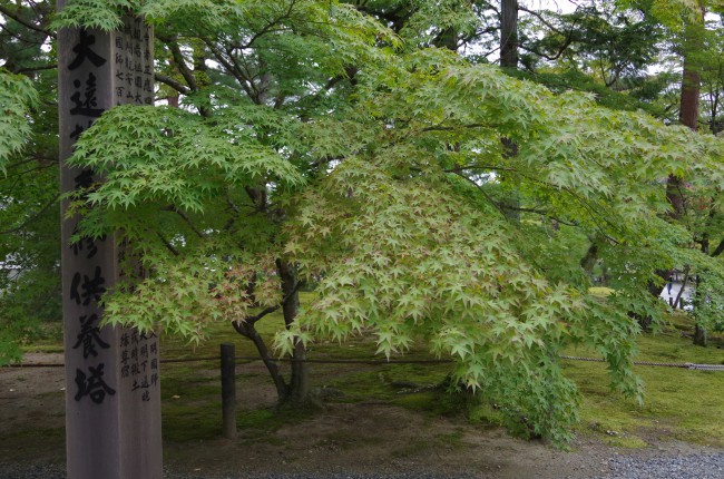 南禅寺05