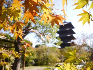 東寺10月18日