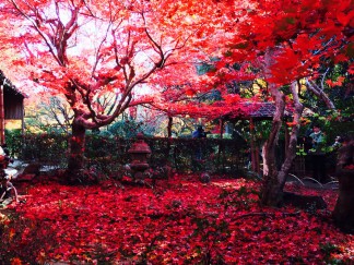 厭離庵11月30日