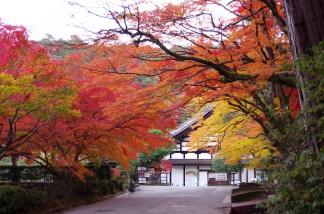 南禅寺11月21日