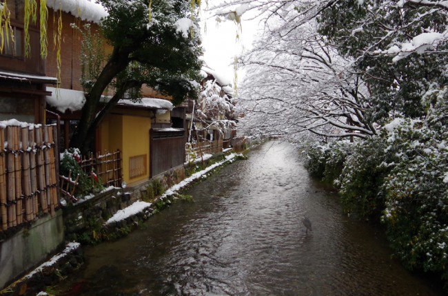 祇園周辺の雪