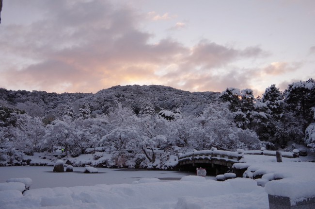 円山公園の雪