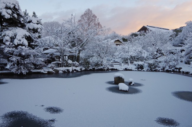 円山公園の雪