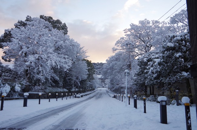 円山公園の雪