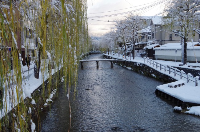 円山公園の雪